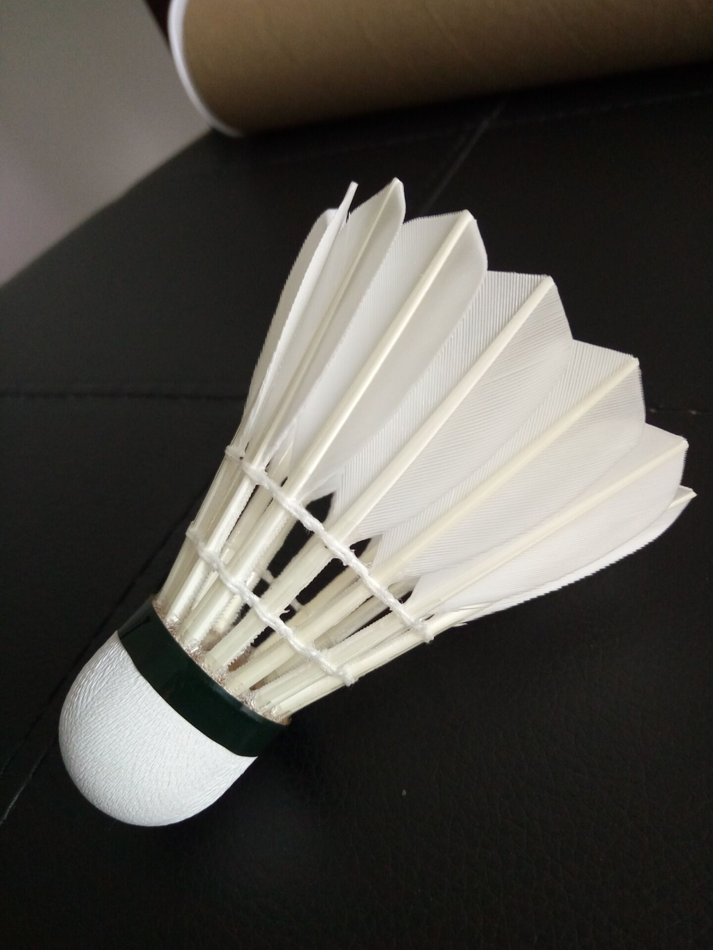 诺的比赛中 诺的比赛中